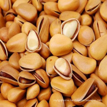 good price fresh products in bulk chinese wholesale dried pine nuts in bulk